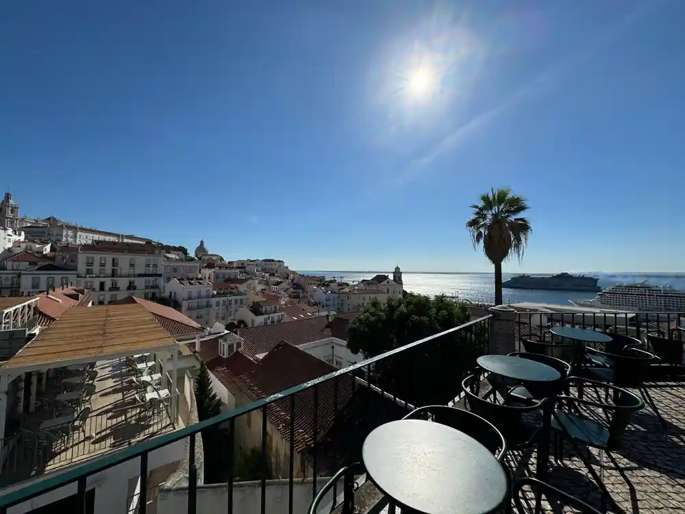 Terrace tables and a palm above the rooftops at a viewpoint